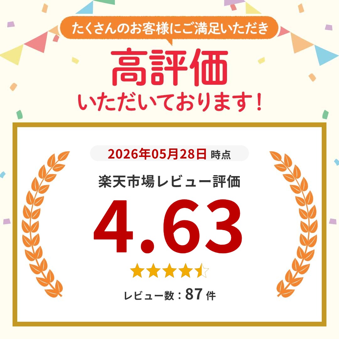 お名前シール 布用 アイロン シンプルデザイン レギュラーサイズ 大