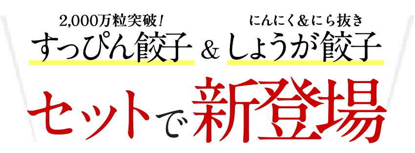 すっぴん餃子100個 生姜餃子60個 食べ比べセット 大阪 ギフト 訳あり オープニング 得トクセール 名産品 取り寄せ ぎょうざ