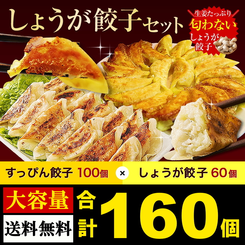 gyouzaset_160sum.jpg
