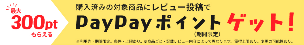 レビューアッププログラム