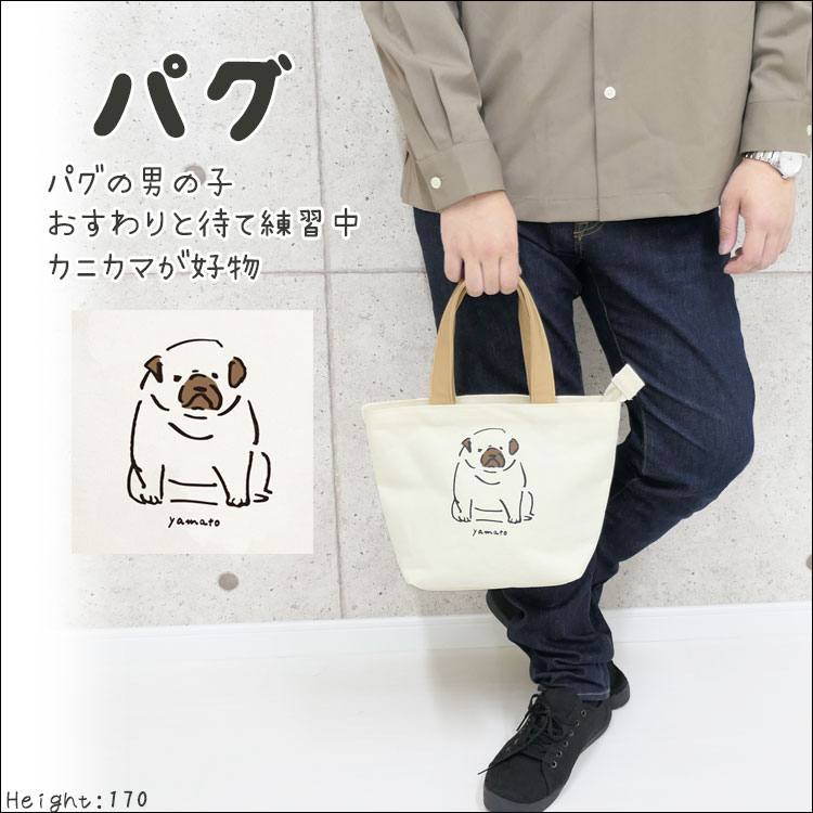 トートバッグ レディース 小さめ キャンバス 布 軽い