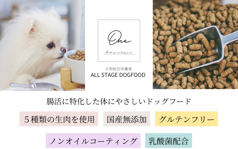 One Allmix ドッグフード 腸活 国産 無添加 ノンオイルコーティング グレインフリー 小粒 小型犬