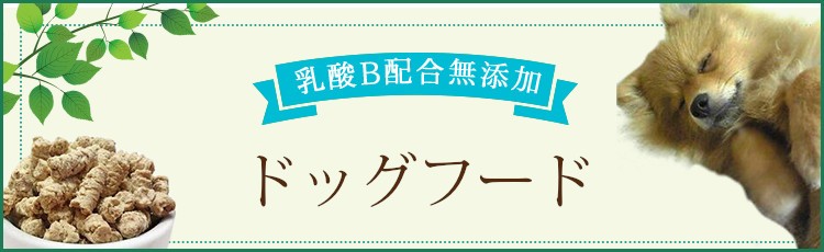 乳酸B配合無添加ドッグフード