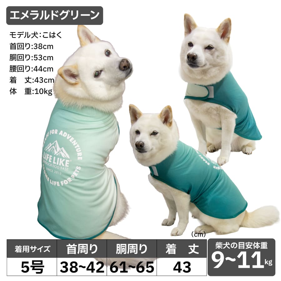 LIFELIKE（ライフライク） 犬 犬服 夏服 着せやすい ポンチョ 柴犬 豆
