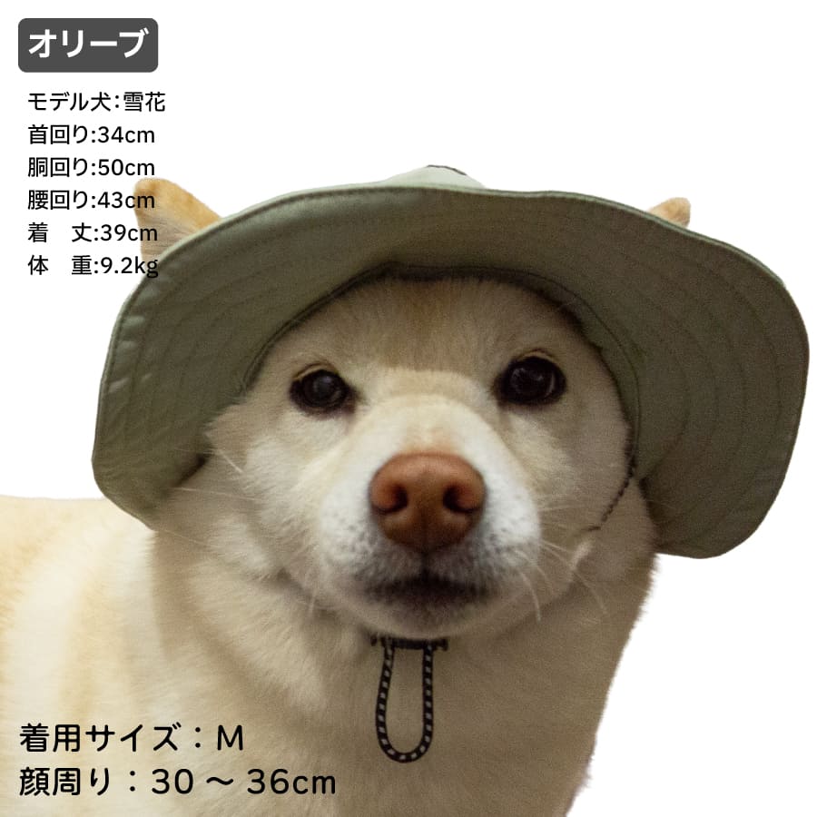LIFELIKE（ライフライク） 柴犬 帽子 ハット 犬 被り物 かぶりもの UV
