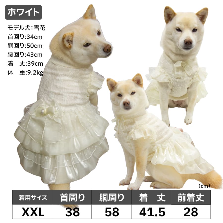 iDog 犬 服 犬服 結婚式 パーティ イベント 柴犬 豆柴 中型犬 犬用品