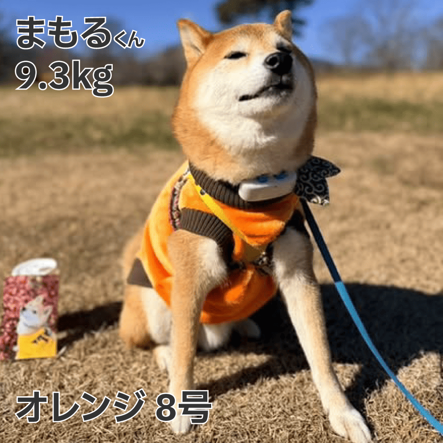 VERY 送料無料 犬 服 冬服 暖かい 柴犬 ボーダーコリー 中型犬 防寒 犬