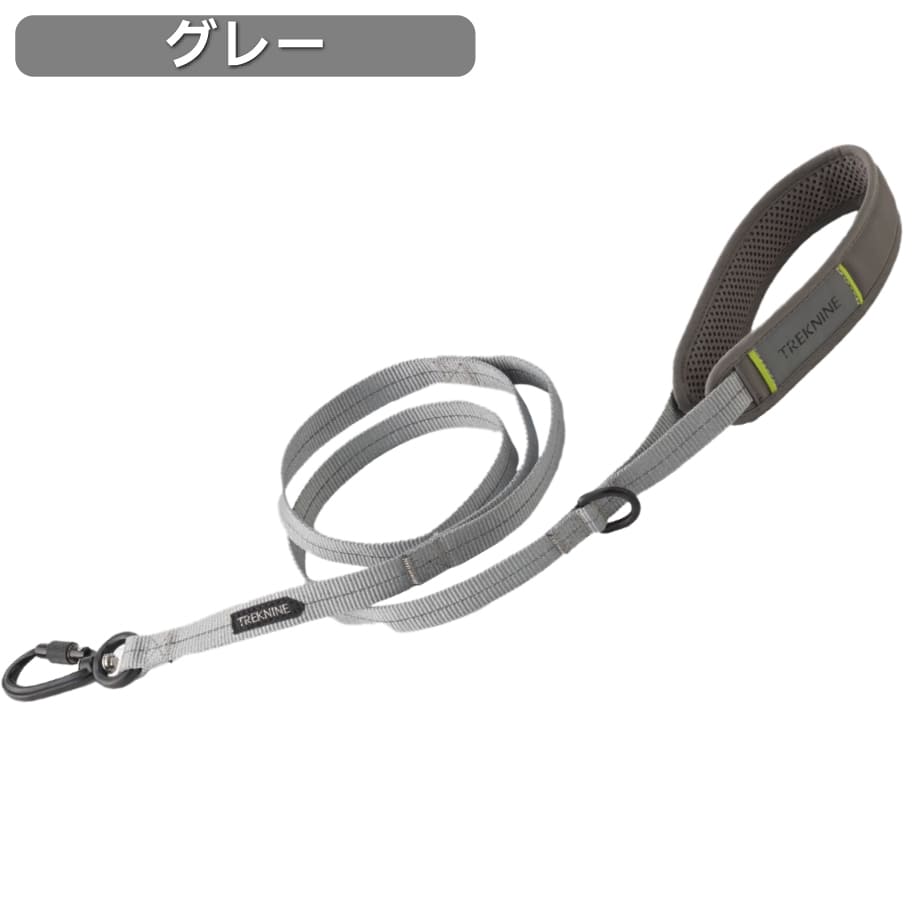 iDog 犬 リード Wロック ネジ式 柴犬 おしゃれ 犬用品 中型犬 小型犬
