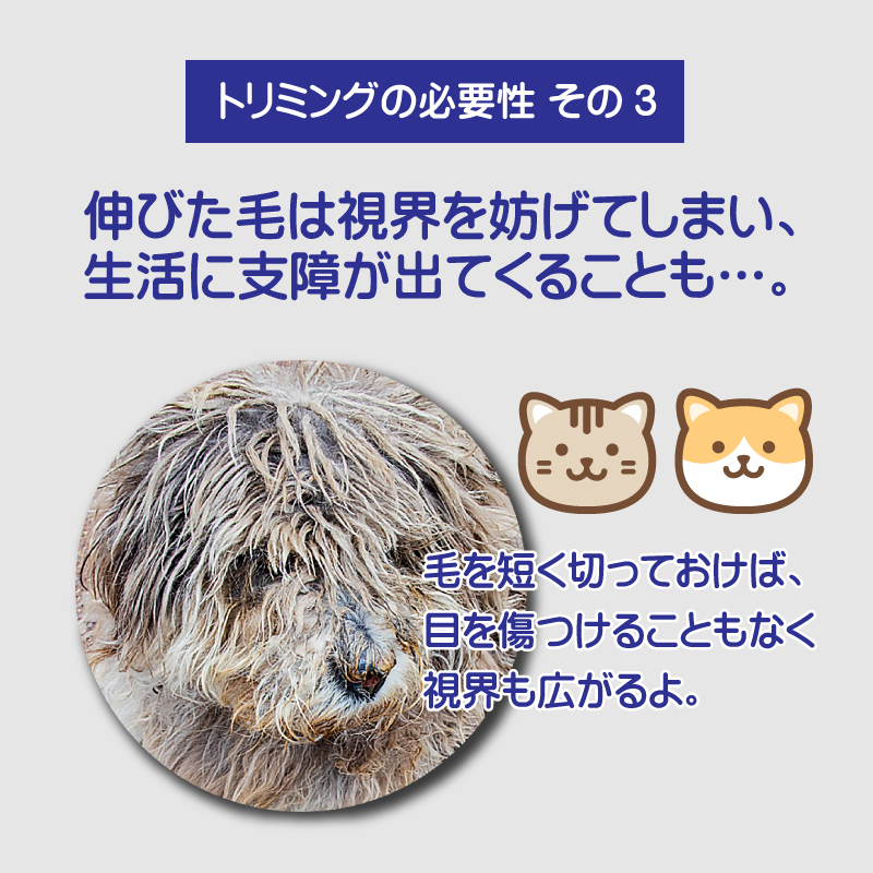 バリカン 犬用 ペット用 USB 充電式 電動 散髪 足裏 プロ 仕様 軽量