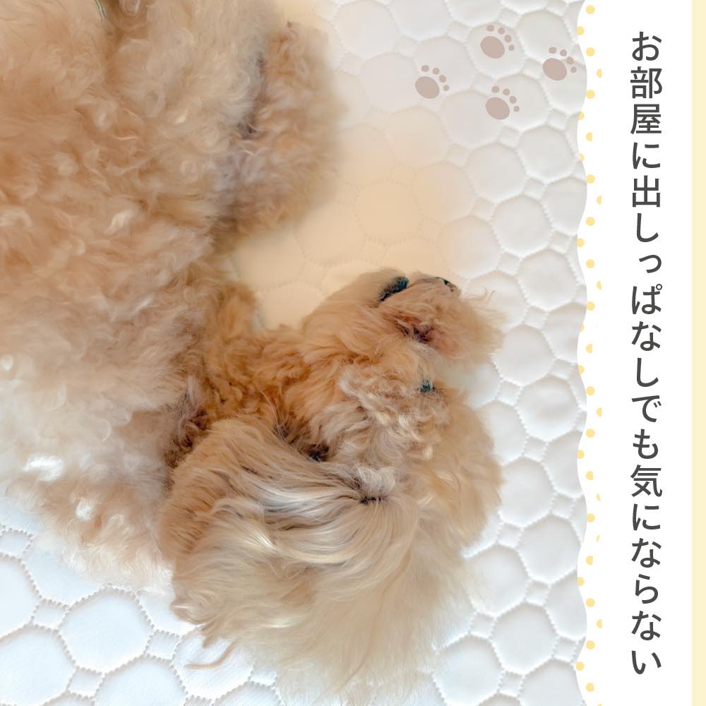 【30×30サイズ550円〜】ペット トイレマ...の詳細画像2