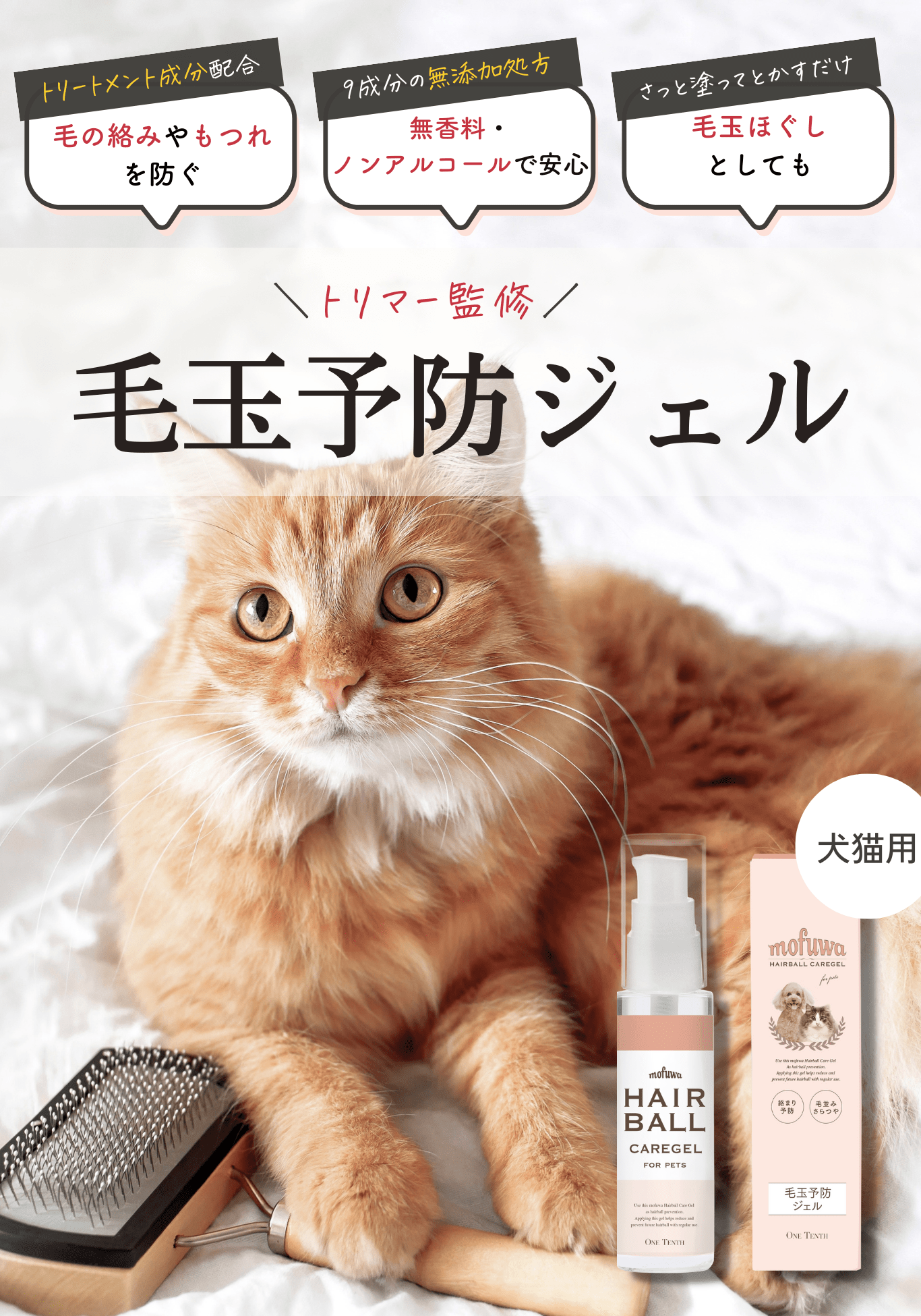 猫 シャンプー 毛 が 販売 固まっ た