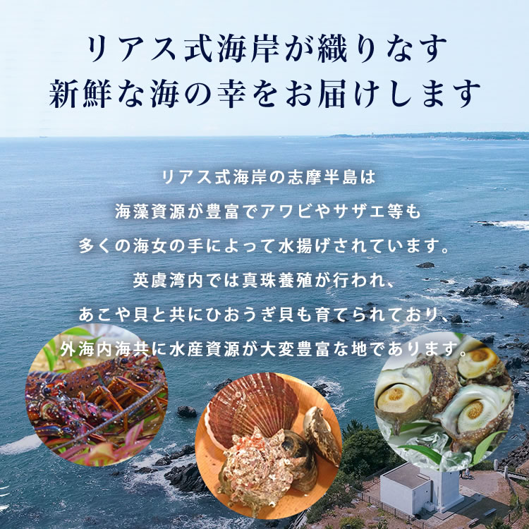 海鮮BBQセット ひおうぎ貝 さざえ 伊勢海老 伊勢志摩産 産地直送 ばた