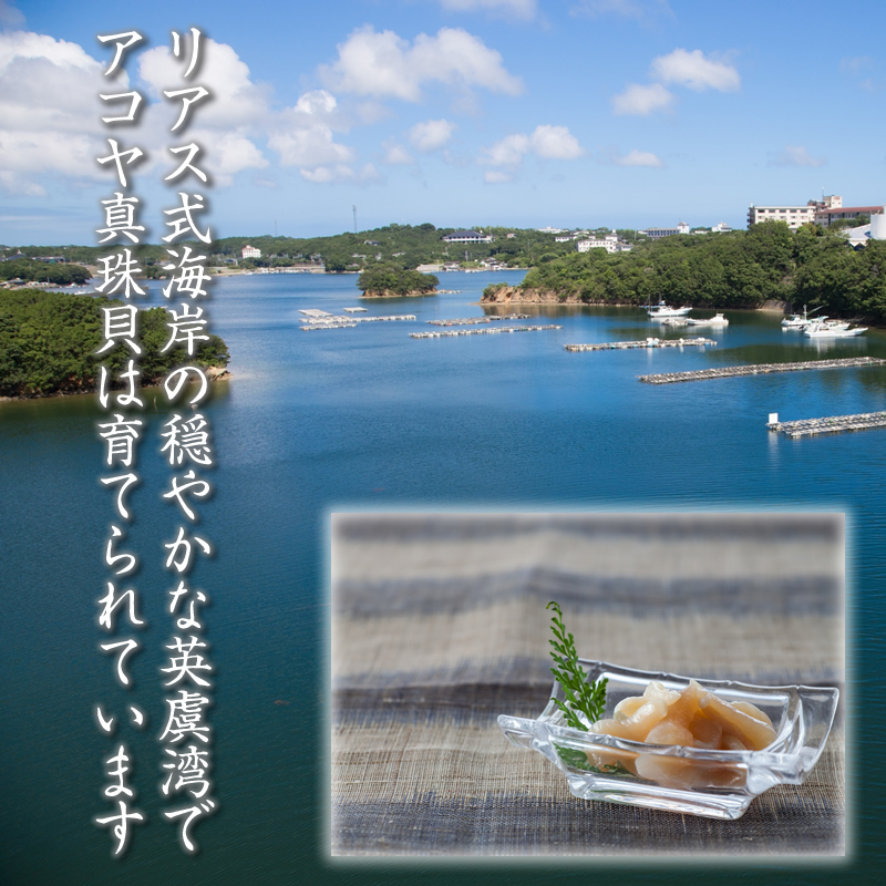 アコヤ真珠大珠、あこやベビーパール、あこや砂芥子パールの、オメガ風ネックレス アコヤ真珠、あこや砂芥子パール、オパールの、オメガ風ネックレス