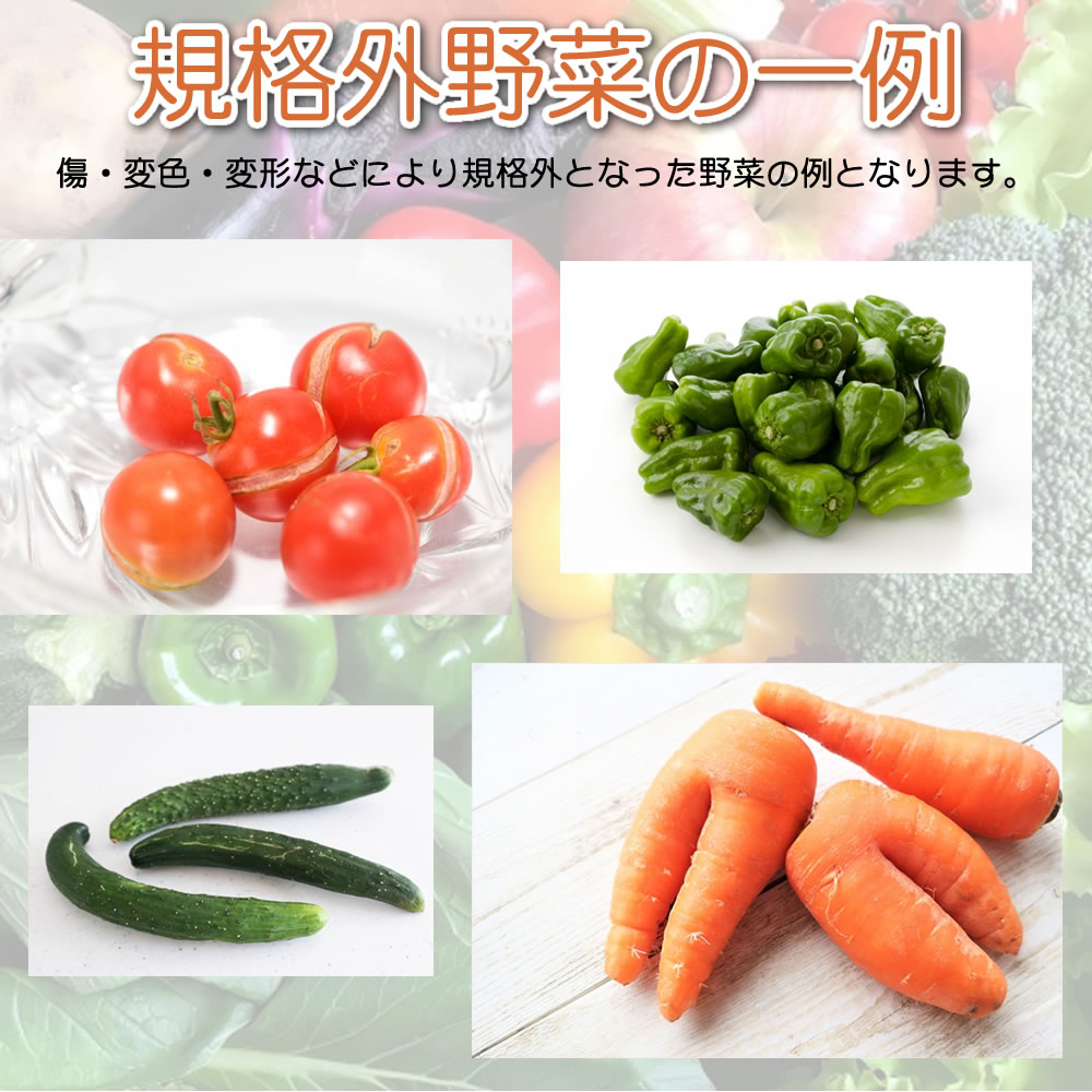 訳あり野菜 規格外野菜 とれたて新鮮 旬の 野菜セット 野菜詰め合わせ