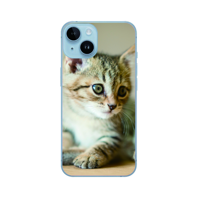 iPhone Android対応 ねこ ネコ 猫 ネコ柄 猫柄 ねこ柄 スマホケース クリアケース PCケース ハードケース 全200機種対応｜oneword｜08