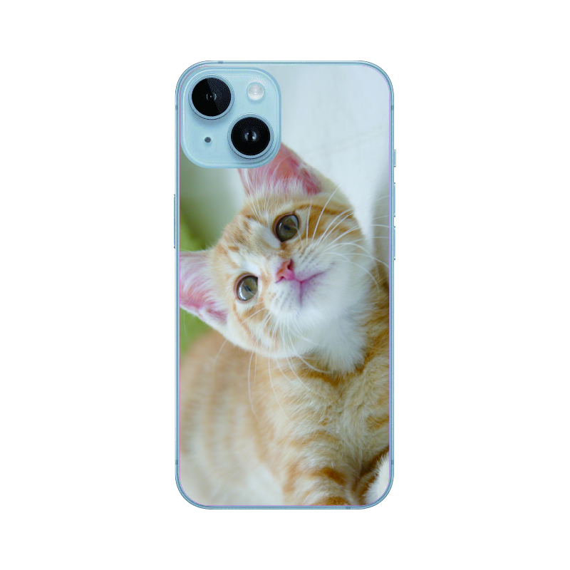 iPhone Android対応 ねこ ネコ 猫 ネコ柄 猫柄 ねこ柄 スマホケース クリアケース PCケース ハードケース 全200機種対応｜oneword｜09