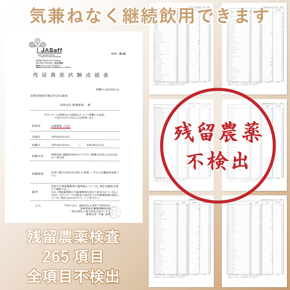 ごぼう茶 国産（1袋：2.5g×30包）6袋セット｜残留農薬不検出【公式】村田食品のごぼう茶｜ティーバッグ 宮崎県 ごぼうの皮ごと使用 ゴボウ茶 健康茶 |  | 05