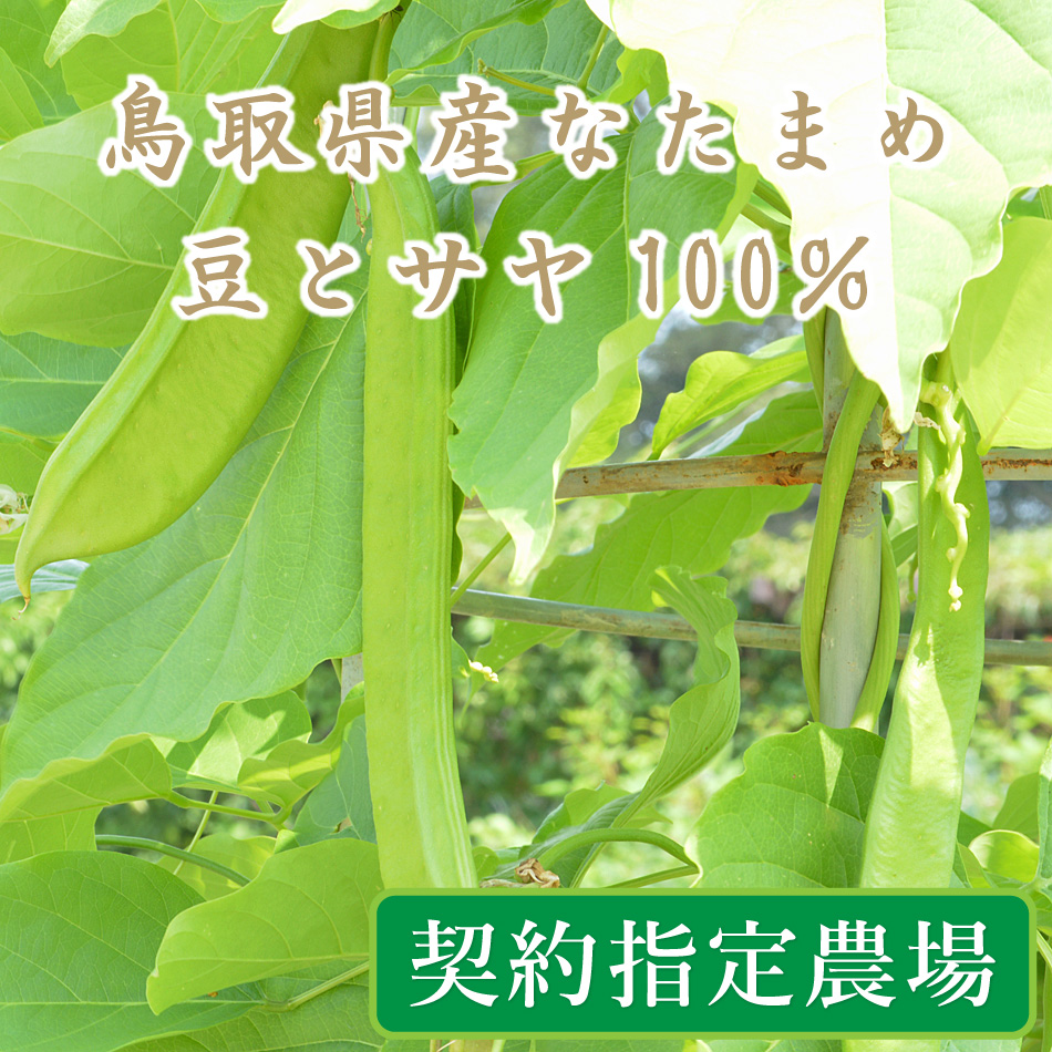 なたまめ茶 無農薬