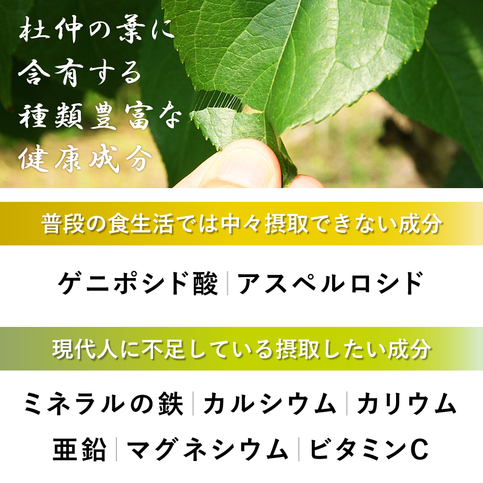 とちゅう茶 1袋（3g×30包）｜村田食品の杜仲茶 国産 鳥取県産
