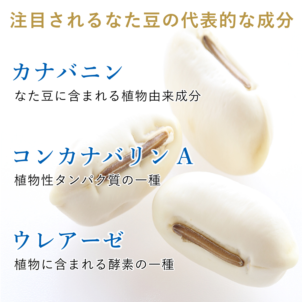 白なたまめの成分