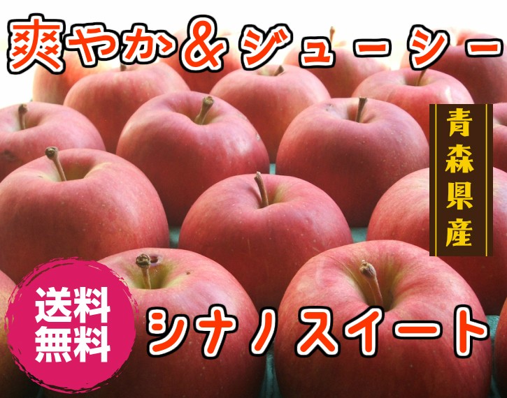 青森りんご☆送料無料☆家庭用シナノスイート5キロ13～20玉 発送11月1