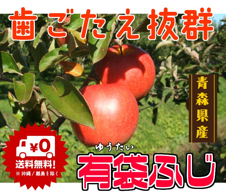 青森りんご☆送料無料☆家庭用有袋ふじ5キロ14-20玉 発送は5月10日頃 