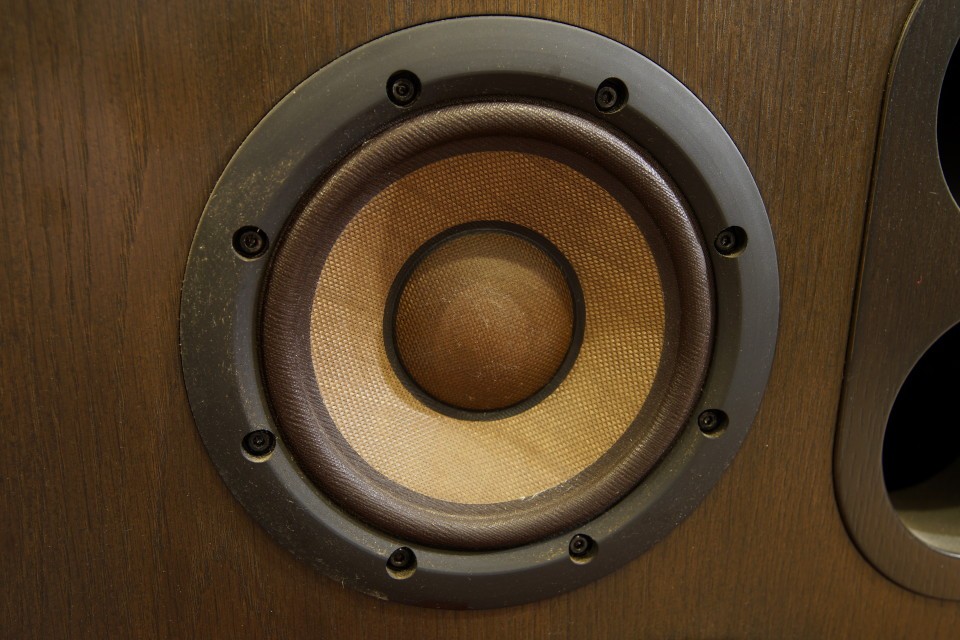 DIATONE ダイヤトーン DS-8000 1ペア中古品 弊社チューン 完動品 3ヵ月