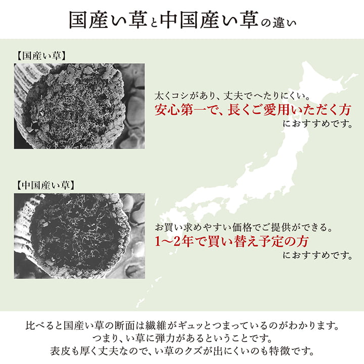 大自然 い草 ござ 花ござ 国産 日本製 上敷き 和室 敷物 カーペット