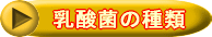乳酸菌の種類