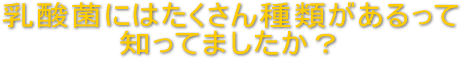 乳酸菌にたくさん種類があるって知ってましたか?