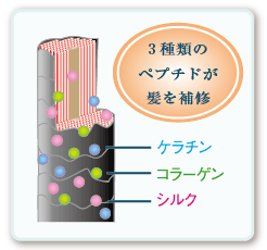 送料無料】 CA101 薬用ブラックシャンプー(ボトル)＆ヘア