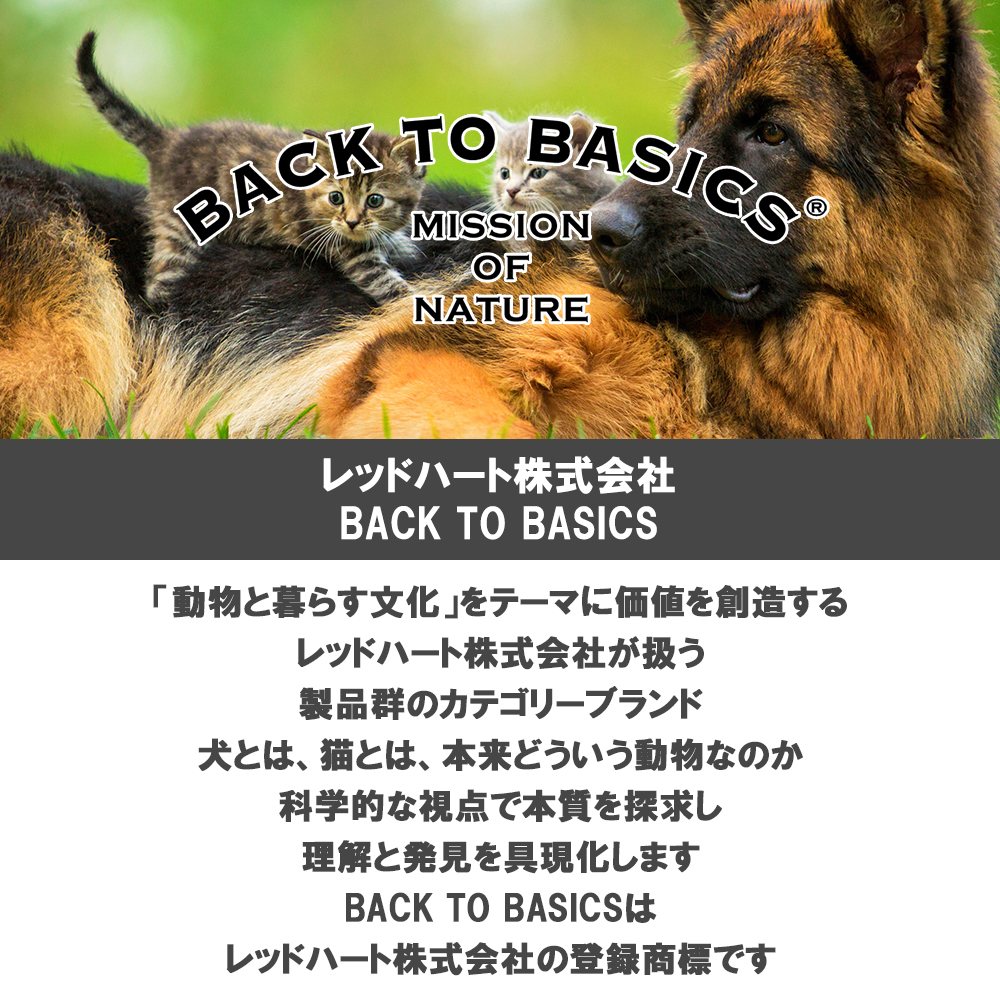 キアオラ 愛猫用 キャットフード 2.7kg 選べる4個 送料無料_4