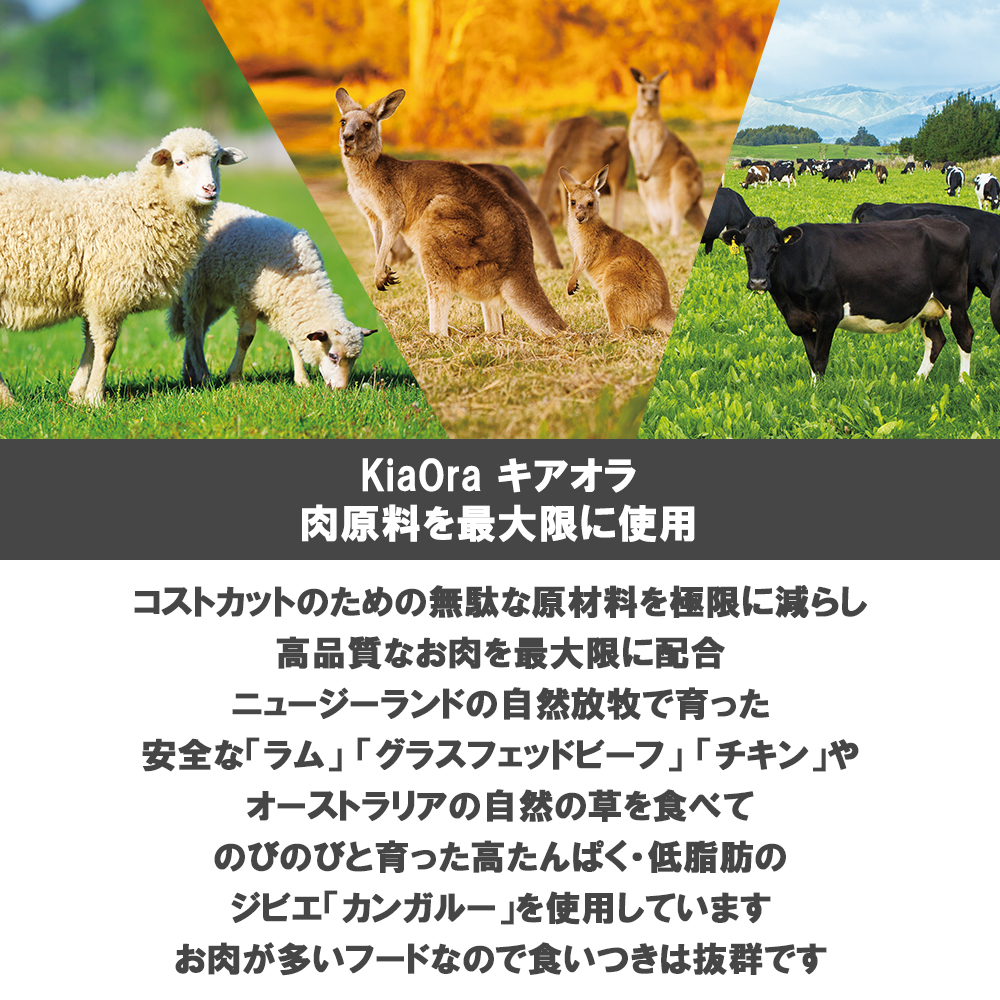 キアオラ 愛猫用 キャットフード 2.7kg 選べる4個 送料無料_6