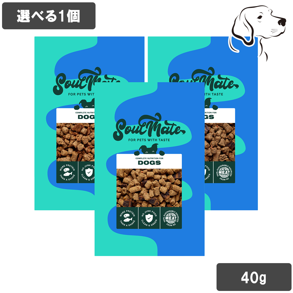 ソウルメイト 愛犬用 ベイクド＆エアドライフード 40g 選べる1個 | SoulMate