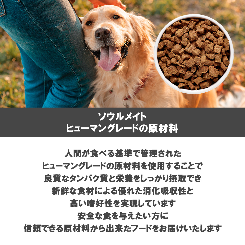ソウルメイト 愛犬用 エアドライフード 500g 選べる2個 送料無料 | SoulMate | 04
