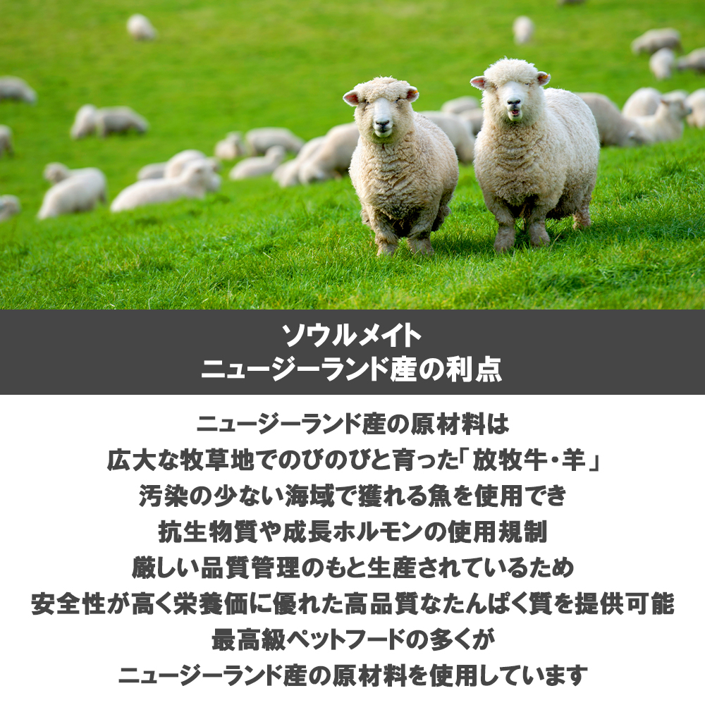 ソウルメイト 愛犬用 エアドライフード 500g 選べる2個 送料無料 | SoulMate | 06