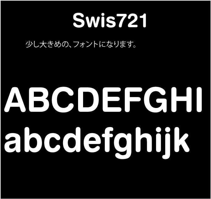 アルファベット半角 切り文字 12文字以内 - オーナーズグッズ