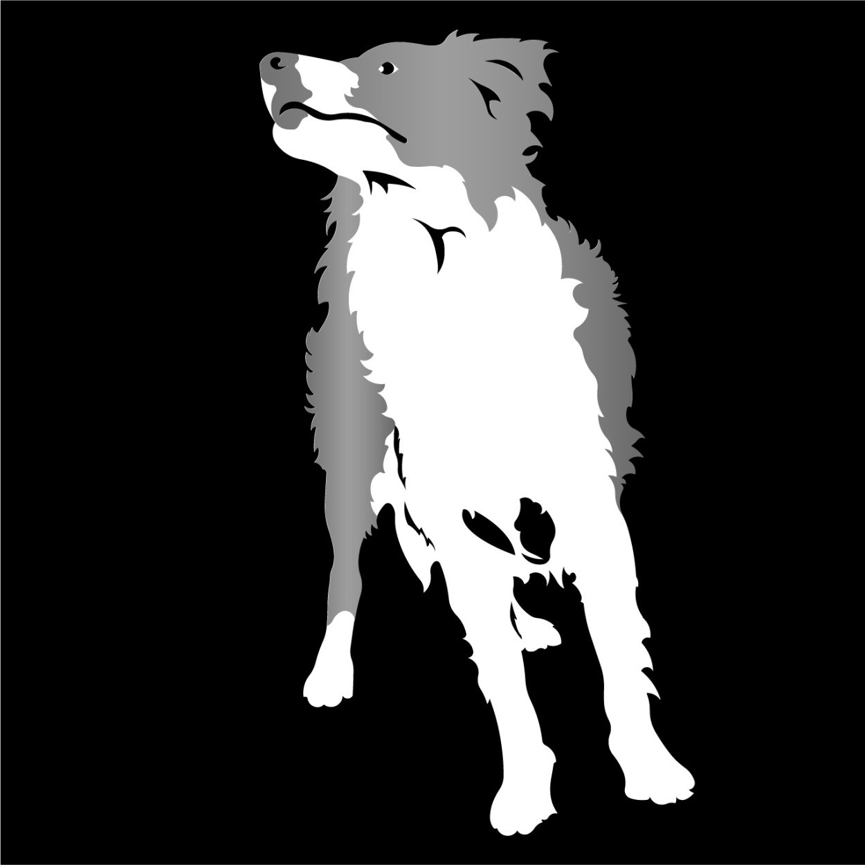 ボーダーコリー ステッカー ボーダー カッティングステッカー 円形文字 506c Onlyわん 犬種別ステッカー 通販 Yahoo ショッピング ボーダーコリー ステッカー ボーダー カッティングステッカー 円形文字 506c Onlyわん 犬種別ステッカー 通販 Yahoo ショッピング