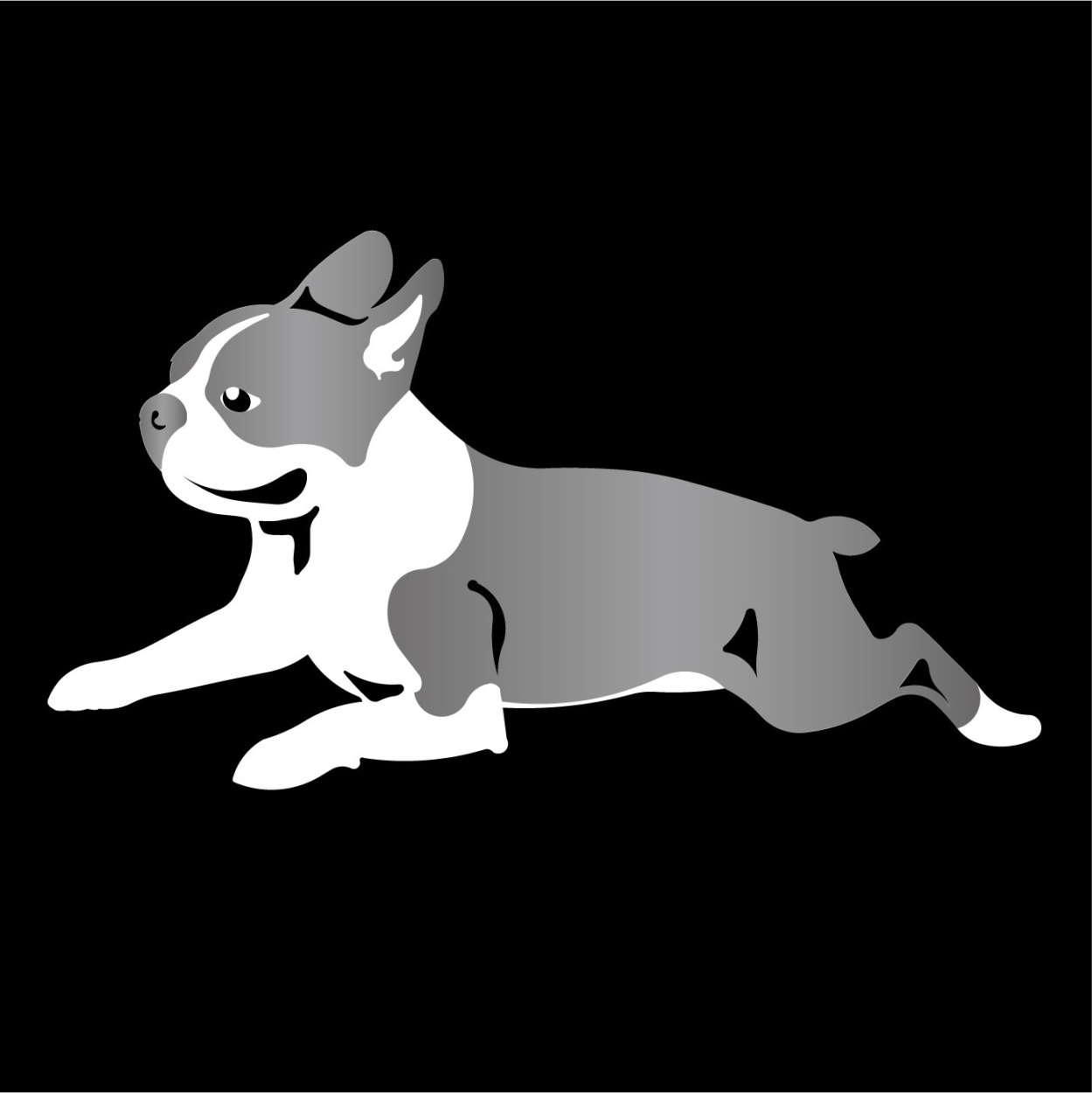 ボストンテリア 08218556dedce775827227487d1b6a