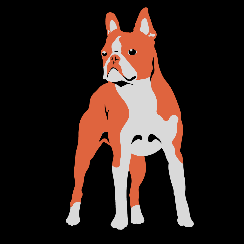 ボストンテリア 08218556dedce775827227487d1b6a