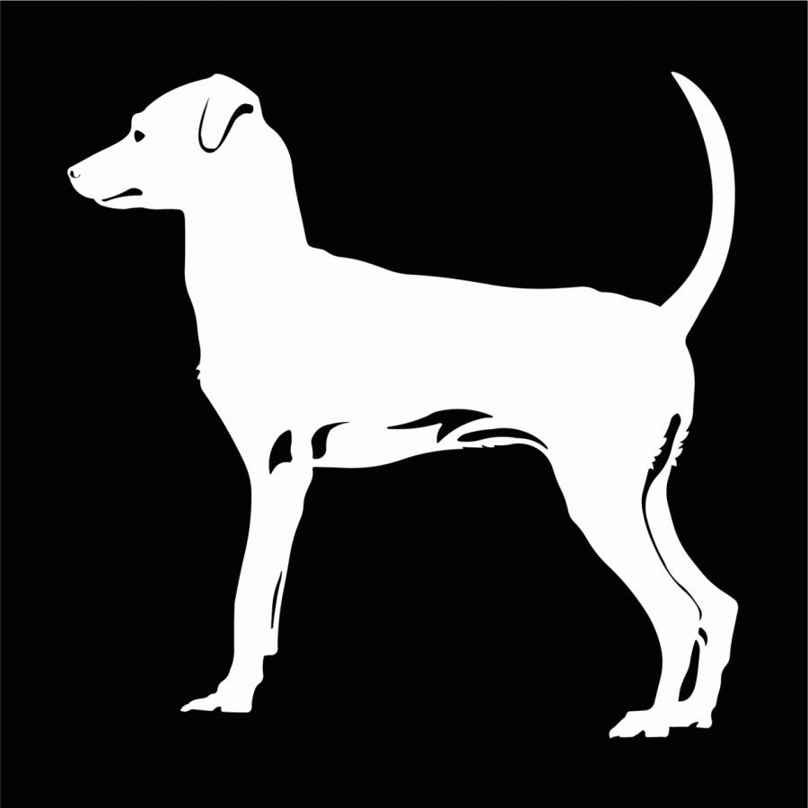 配送員設置送料無料 ミニチュアピンシャー ミニピン 円形文字 カッティングステッカー 断耳 顔 タレ 配送員設置送料無料 ミニチュアピンシャー ミニピン 円形文字 カッティングステッカー 断耳 顔 タレ