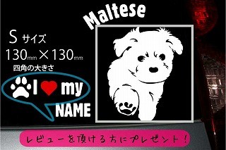 マルチーズのステッカー