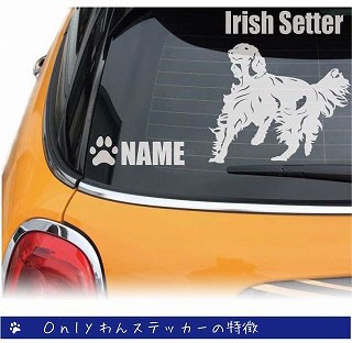 アイリッシュセッターのステッカー