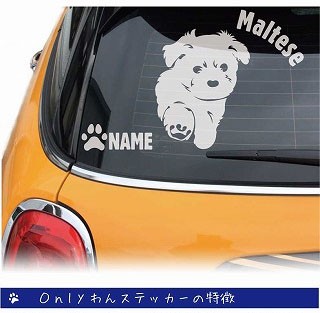 マルチーズのステッカー