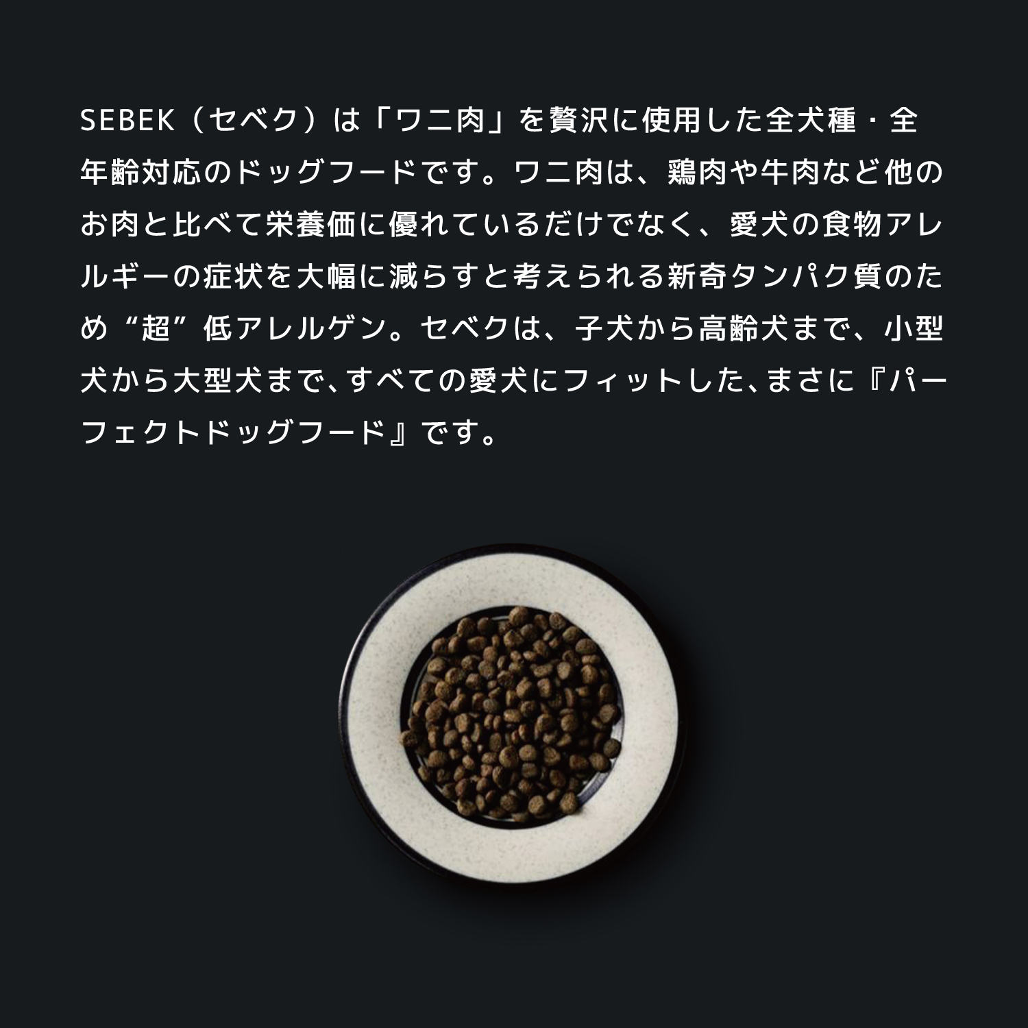 みゆきち　パピリーデリカ ドッグフード ワニ肉3袋 Amazon.co.jp: INUMESHI SEBEK（セベク） ワニ肉ドッグフード