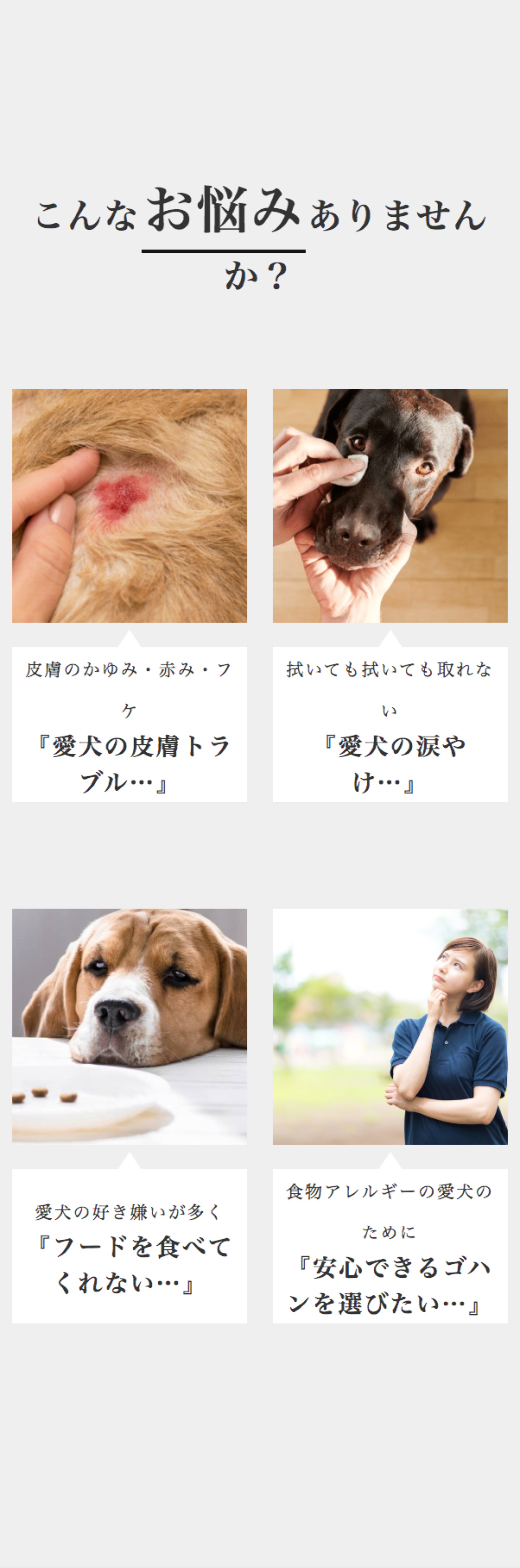 INUMESHI　SEBEK（セベク）　15kg ブリーダーパック ワニ肉　全犬種　全年齢用　穀物不使用 （グレインフリー） ドッグフード INUMESHI セベク ドッグフード