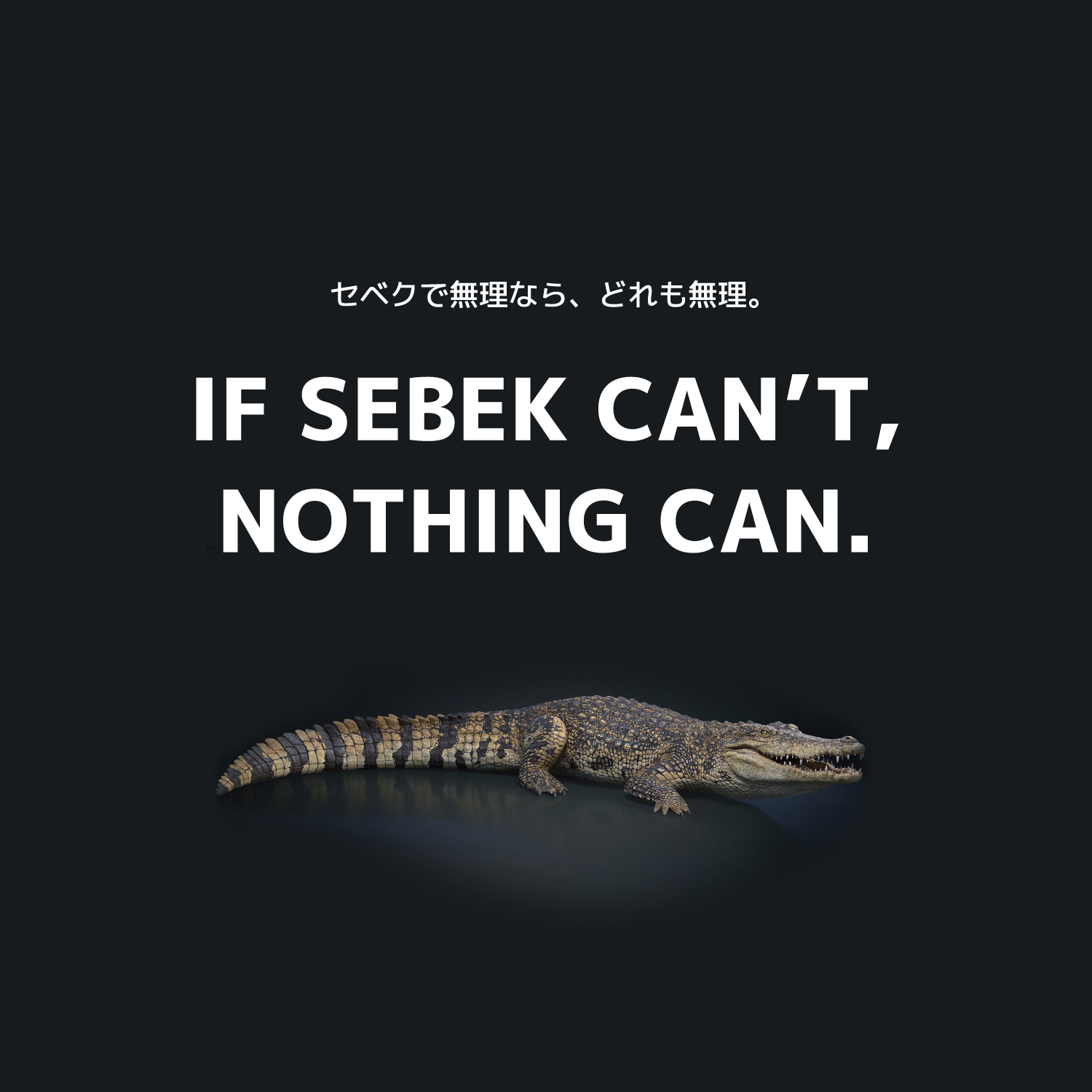 INUMESHI　SEBEK（セベク）　15kg ブリーダーパック ワニ肉　全犬種　全年齢用　穀物不使用 （グレインフリー） ドッグフード INUMESHI セベク ドッグフード