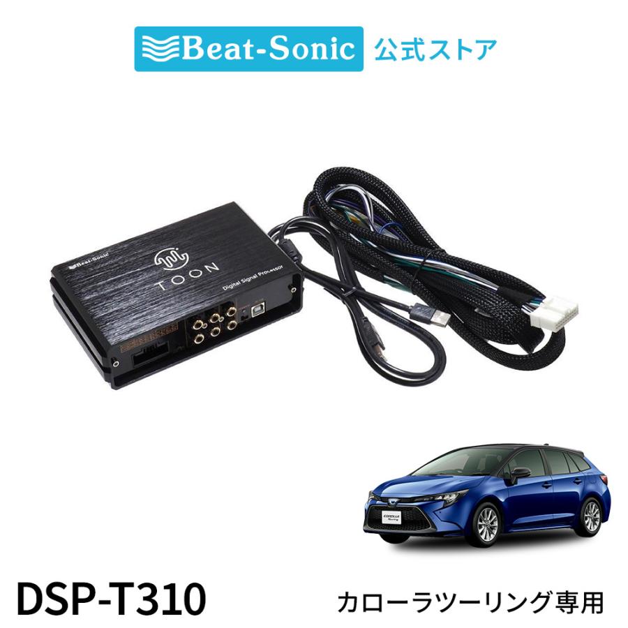 magnet_dsp-t310.jpg