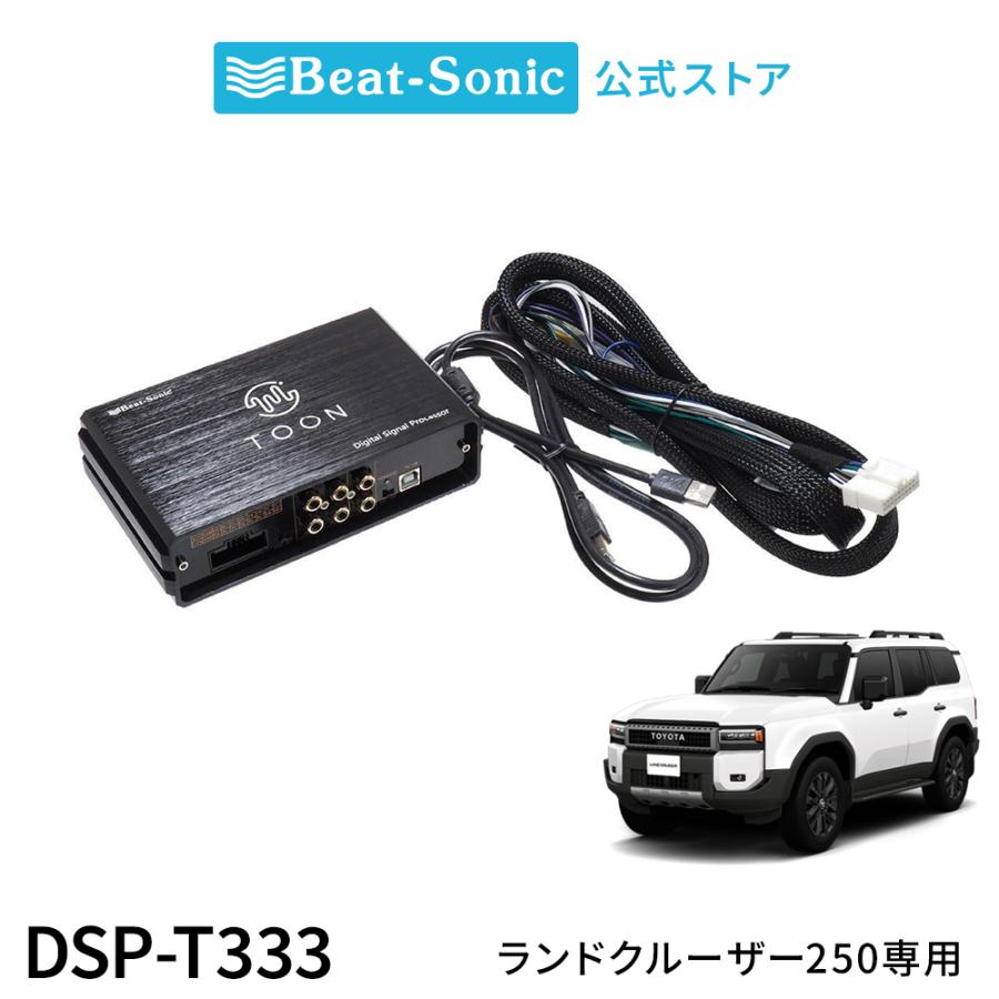magnet_dsp-t333.jpg