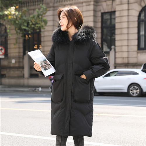 クーポン割引 ダウンコート レディース ダウンジャケット 防寒 冬 上着 ダウンジャケット 軽量 軽い 暖かい レ オンラインストア早割 Ssl Daikyogo Or Jp クーポン割引 ダウンコート レディース ダウンジャケット 防寒 冬 上着 ダウンジャケット 軽量 軽い 暖かい レ オンラインストア早割 Ssl Daikyogo Or Jp